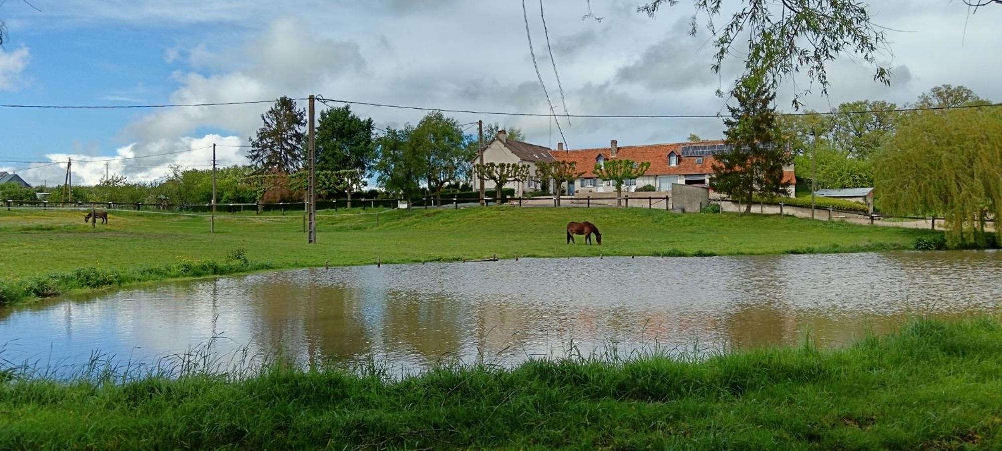 Отель La Ferme Des Bigornes Chatillon-sur-Indre Экстерьер фото